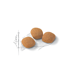 Protein Exigent - Сухий корм для дорослих котів, вибагливих до поживності раціону, віком від 12 місяців до 7 років 2542020 фото