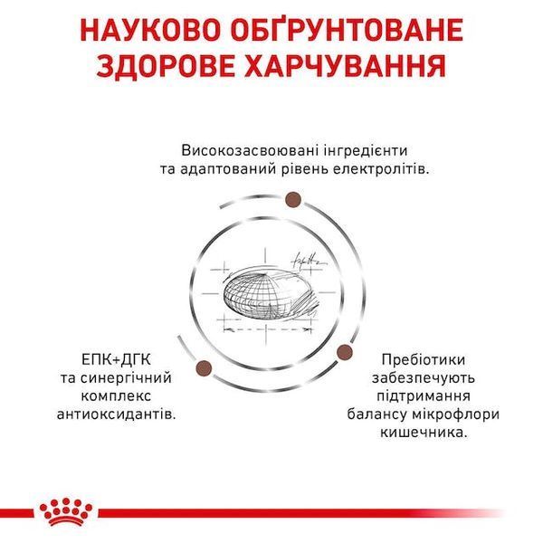 Gastrointestinal &ndash; лікувальний сухий корм для дорослих собак при гострих розладах ШКТ (від 12 місяців) 39110201 фото