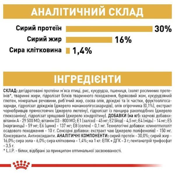 Jack Russel Adult. Джек-рассел-тер'єр віком від 10 місяців 21000159 фото