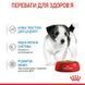 X-small Puppy in gravy. Упаковка 12шт * 85г 1593001 фото 3