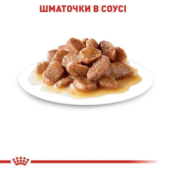 Digestive &ndash; вологий корм у соусі для котів з чутливим травленням (від 12 місяців). Упаковка 12шт*85г 4076001 фото