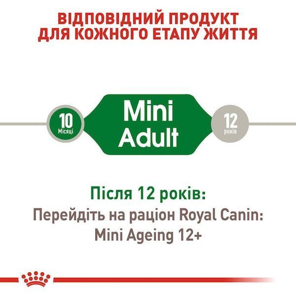Mini Adult. Упаковка 12шт*85г 10960010 фото