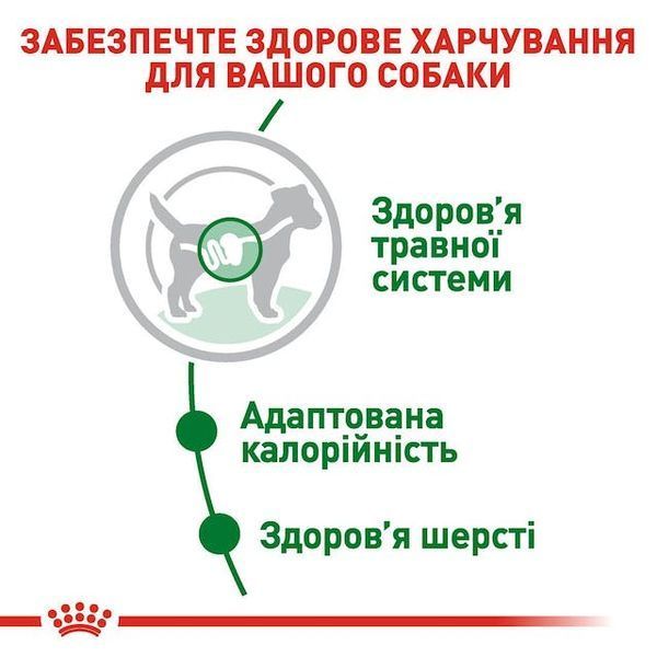 Mini Adult. Упаковка 12шт*85г 10960010 фото