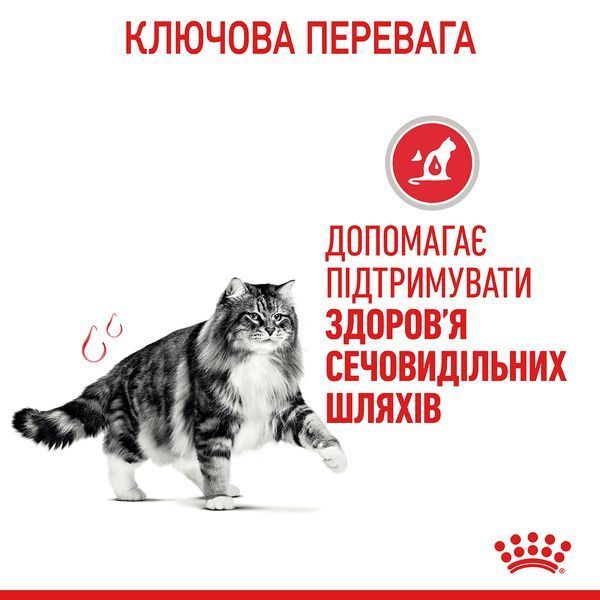 Urinary Care wet in gravy Вологий корм (тонкі шматочки в соусі) для дорослих здорових котів для підтримки здоров'я сечовидільної системи. Упаковка 12шт*85г 41570019 фото