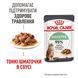 Digestive &ndash; вологий корм у соусі для котів з чутливим травленням (від 12 місяців). Упаковка 12шт*85г 4076001 фото 5