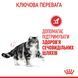 Urinary Care wet in gravy Вологий корм (тонкі шматочки в соусі) для дорослих здорових котів для підтримки здоров'я сечовидільної системи. Упаковка 12шт*85г 41570019 фото 9
