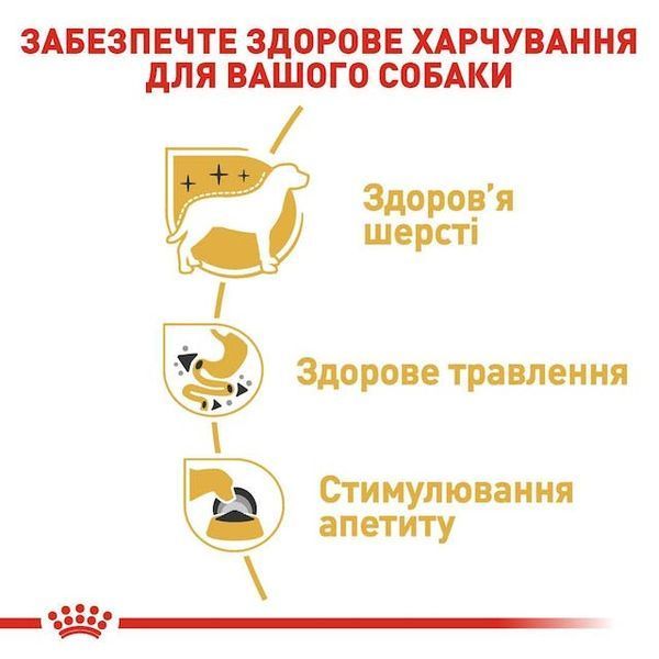 Chihuahua. Чихуахуа віком від 8 місяців. Упаковка 12шт*85г 20410010 фото
