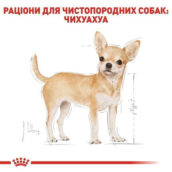 Chihuahua. Чихуахуа віком від 8 місяців. Упаковка 12шт*85г 20410010 фото
