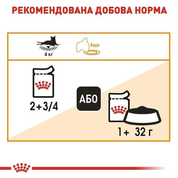Intense Beauty Care wet in jelly Вологий корм (шматочки в желе) для дорослих котів для підтримання здоров&rsquo;я шкіри та краси шерсті. Упаковка 12шт*85г 4151001 фото