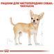 Chihuahua. Чихуахуа віком від 8 місяців. Упаковка 12шт*85г 20410010 фото 4
