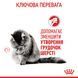 Hairball Care wet in gravy Вологий корм (шматочки в соусі) для виведення шерсті у дорослих котів. Упаковка 12шт*85г 4158001 фото 6