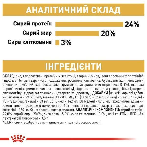 Shih Tzu Adult, віком від 10 місяців 2200015 фото