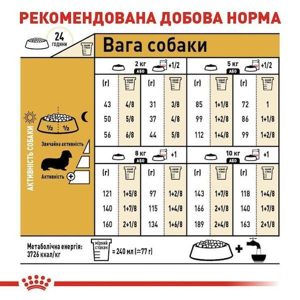 Dachshund adult, віком від 10 місяців 3059015 фото