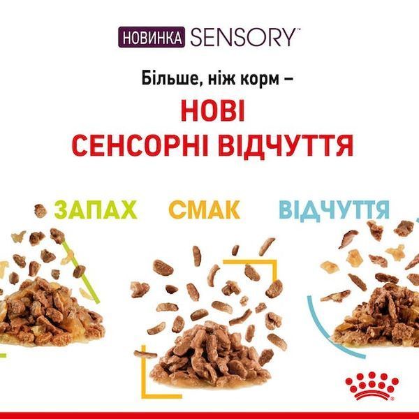 Sensory Smell in Gravy Вологий корм для дорослих котів (шматочки в соусі) для стимуляції нюху. Упаковка 85г*12шт 1517001 фото