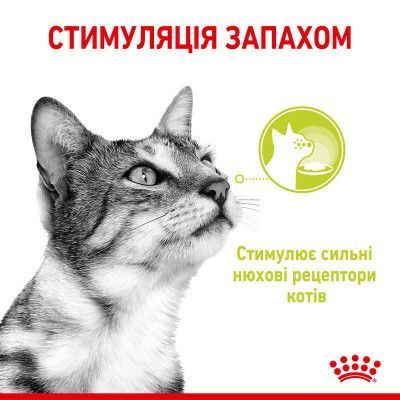 Sensory Smell in Jelly Вологий корм для дорослих котів (шматочки в желе) для стимуляції нюху. Упаковка 85г*12шт  1527001 фото