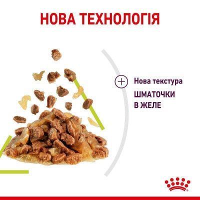 Sensory Smell in Jelly Вологий корм для дорослих котів (шматочки в желе) для стимуляції нюху. Упаковка 85г*12шт  1527001 фото