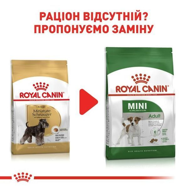 Miniature Schnauzer Adult, для дорослих собак породи цвергшнауцер віком від 10 місяців 2220075 фото