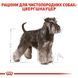 Miniature Schnauzer Adult, для дорослих собак породи цвергшнауцер віком від 10 місяців 2220075 фото 4