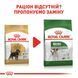 Miniature Schnauzer Adult, для дорослих собак породи цвергшнауцер віком від 10 місяців 2220075 фото 6
