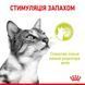 Sensory Smell in Jelly Вологий корм для дорослих котів (шматочки в желе) для стимуляції нюху. Упаковка 85г*12шт  1527001 фото 3