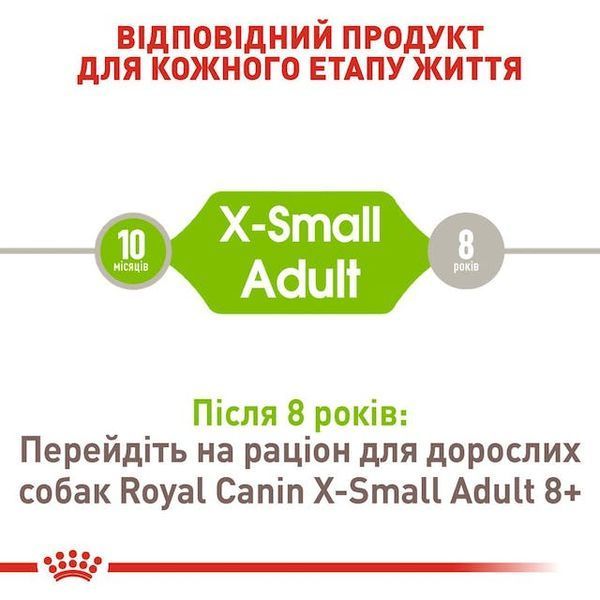 X-Small Adult (від 10 місяців до 8 років)  1003005 фото