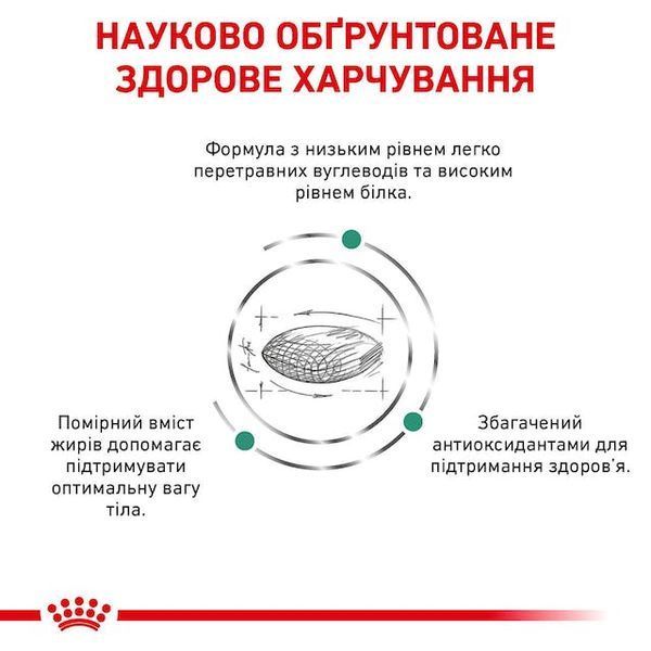 Diabetic Feline Дієтичний корм для котів при цукровому діабеті 39060041 фото