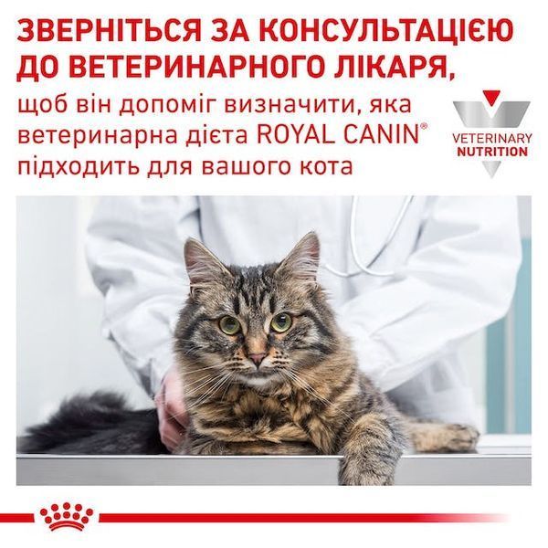 Diabetic Feline Дієтичний корм для котів при цукровому діабеті 39060041 фото