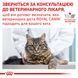 Diabetic Feline Дієтичний корм для котів при цукровому діабеті 39060041 фото 7