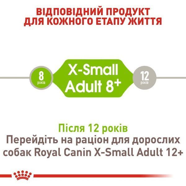 X-Small Adult (від 10 місяців до 8 років) 1004030 фото